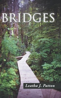 bokomslag Bridges