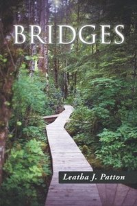 bokomslag Bridges