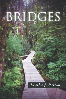 bokomslag Bridges