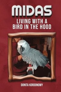 bokomslag Midas Living with a Bird in the Hood