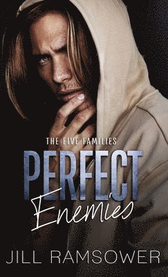 bokomslag Perfect Enemies