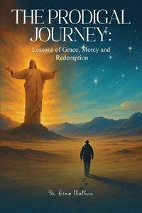 bokomslag Prodigal Journey