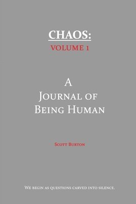 bokomslag Chaos