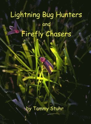 bokomslag Lightning Bug Hunters and Firefly Chasers