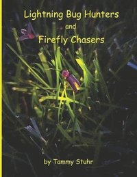 bokomslag Lightning Bug Hunters and Firefly Chasers