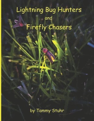 bokomslag Lightning Bug Hunters and Firefly Chasers