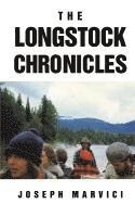 bokomslag Longstock Chronicles
