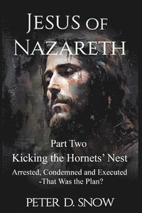 bokomslag JESUS OF NAZARETH Part Two