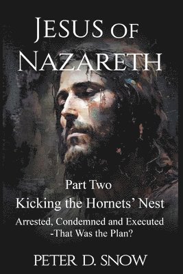 bokomslag JESUS OF NAZARETH Part Two