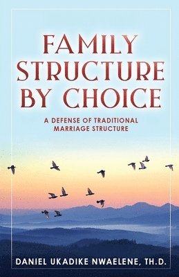 bokomslag Family Structure by Choice