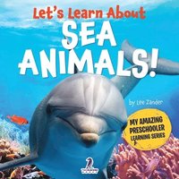 bokomslag Let's Learn About Sea Animals!