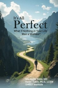 bokomslag It's All Perfect: What If Nothing in Your Life Was a Mistake?