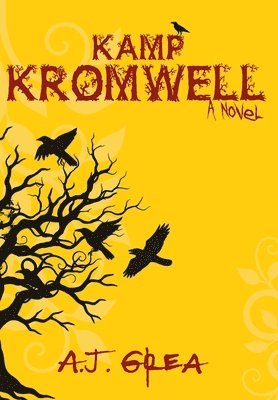 bokomslag Kamp Kromwell