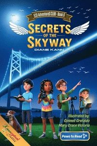 bokomslag Secrets of the Skyway