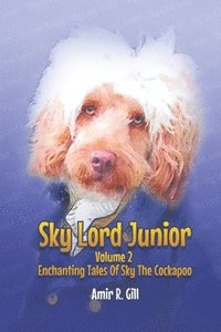 bokomslag Sky Lord Junior