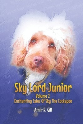 bokomslag Sky Lord Junior: Volume 2
