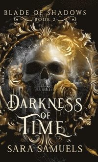 bokomslag Darkness of Time