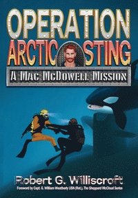 bokomslag Operation Arctic Sting