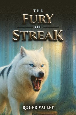 bokomslag Fury of Streak