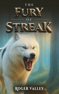 bokomslag Fury of Streak