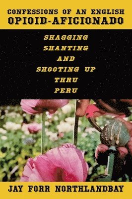 bokomslag Confessions of an English Opioid-Aficionado: Shagging Shanting & Shooting Up Thru Peru