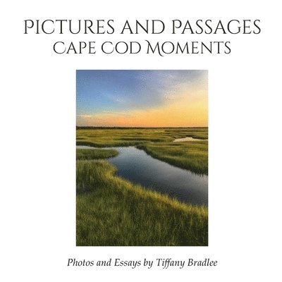 Tiffany Bradlee - Pictures and Passages, Häftad