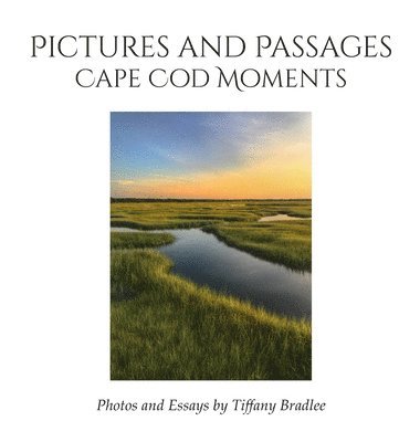 Tiffany Bradlee - Pictures and Passages, Inbunden. Tillgänglighet: Lägg i varukorg