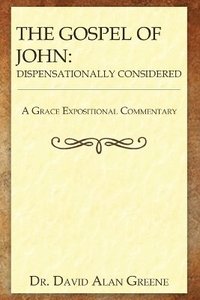 bokomslag Gospel of John