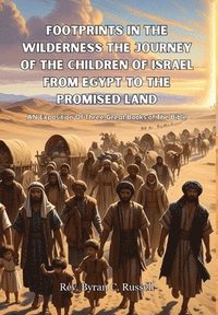 bokomslag Footprints In The Wilderness The Journey Of The Children of Israel From Egypt To The Promised Land