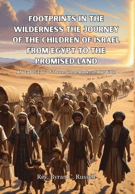 bokomslag Footprints In The Wilderness The Journey Of The Children of Israel From Egypt To The Promised Land