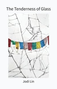 bokomslag Tenderness of Glass