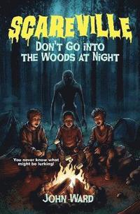 bokomslag Don't Go Into the Woods at Night