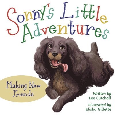 Sonny's Little Adventures