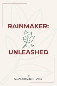 bokomslag Rainmaker