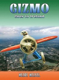 bokomslag Gizmo Goes to Ireland