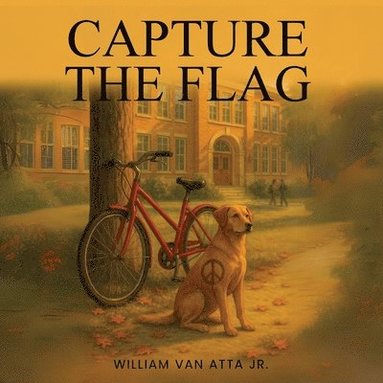 bokomslag Capture the Flag