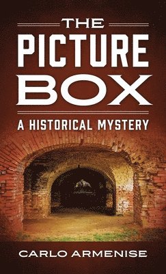 bokomslag Picture Box