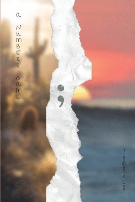 Tinamarie Cox - Numbers Game, Häftad