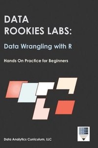 bokomslag Data Rookies Labs Data Wrangling with R