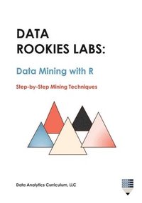 bokomslag Data Rookies Labs Data Mining with R