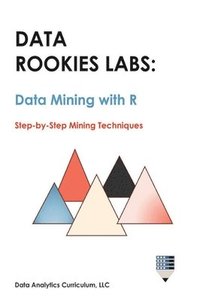 bokomslag Data Rookies Labs Data Mining with R