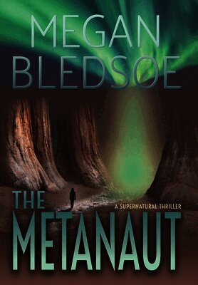 The Metanaut: a supernatural thriller