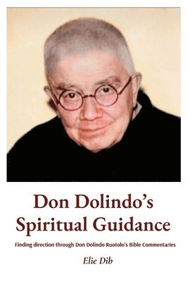 bokomslag Don Dolindo's Spiritual Guidance: Finding direction through Don Dolindo Ruotolo's Bible Commentaries