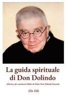 bokomslag La guida spirituale di Don Dolindo: Alla luce dei commenti biblici di Padre Don Dolindo Ruotolo