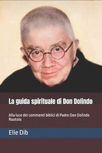 bokomslag La guida spirituale di Don Dolindo: Alla luce dei commenti biblici di Padre Don Dolindo Ruotolo