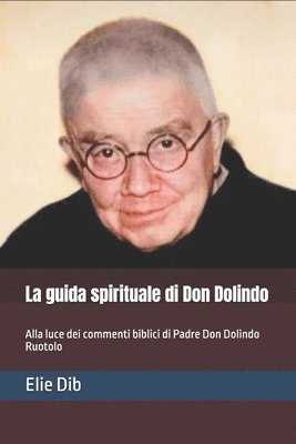 bokomslag La guida spirituale di Don Dolindo: Alla luce dei commenti biblici di Padre Don Dolindo Ruotolo