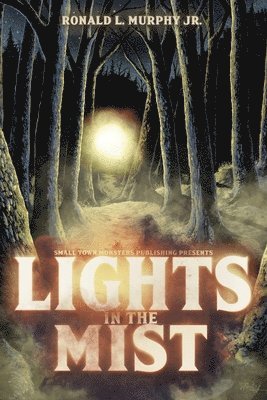 Ronald L Murphy - Lights in the Mist, Häftad