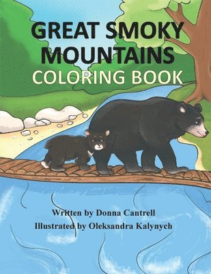 bokomslag Great Smoky Mountains Coloring Book