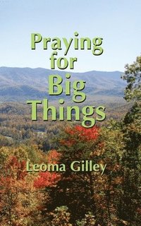 bokomslag Praying for Big Things
