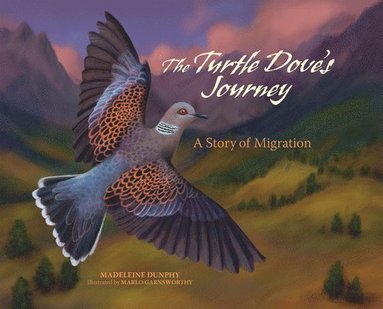 Madeleine Dunphy - Turtle Dove's Journey, Inbunden